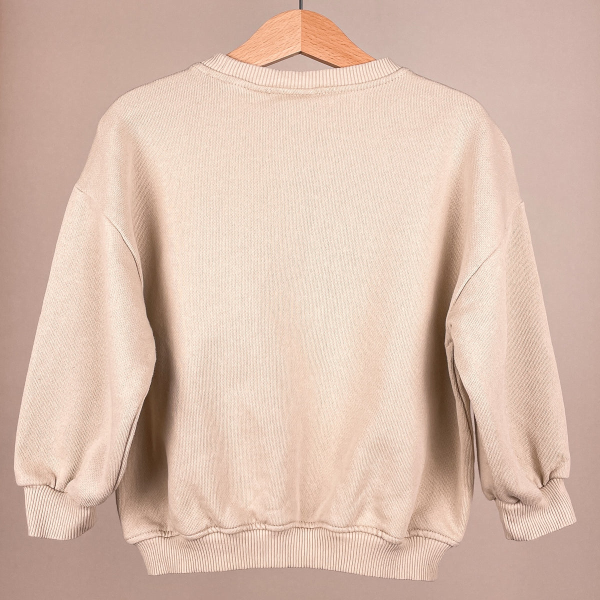 ZARA Kinderpullover The Dog Academy in Beige, Größe 98 – Rückansicht