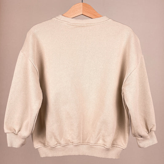 ZARA Kinderpullover The Dog Academy in Beige, Größe 98 – Rückansicht