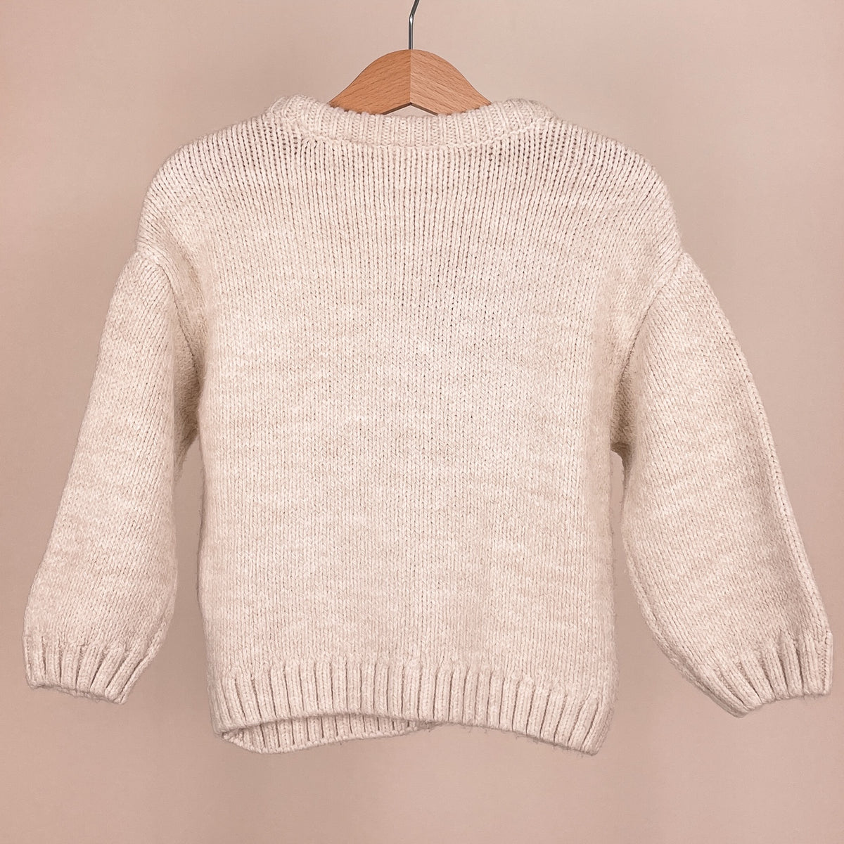 Zara Kinder Strickpullover mit Dinosaurier Größe 92 Rückseite