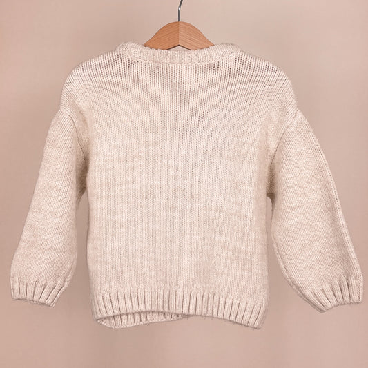 Zara Kinder Strickpullover mit Dinosaurier Größe 92 Rückseite
